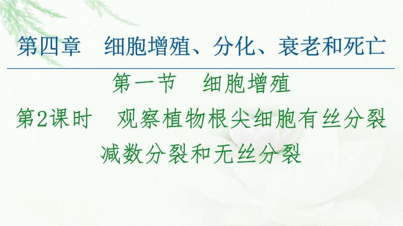 苏教版高中生物必修1第4章第1节第2课时观察植物根尖细胞有丝分裂减数分裂和无丝分裂课件01