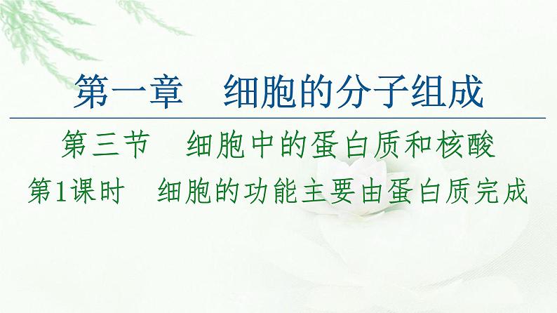 苏教版高中生物必修1第1章第3节第1课时细胞的功能主要由蛋白质完成课件第1页