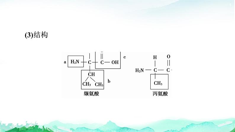 苏教版高中生物必修1第1章第3节第1课时细胞的功能主要由蛋白质完成课件第5页