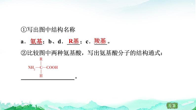 苏教版高中生物必修1第1章第3节第1课时细胞的功能主要由蛋白质完成课件第6页