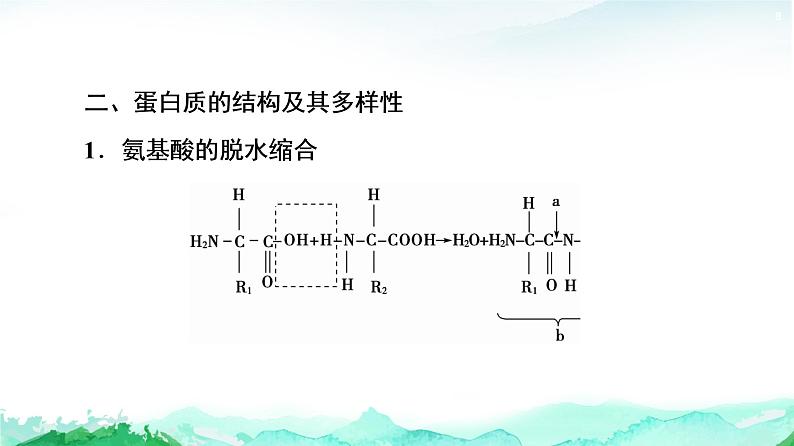苏教版高中生物必修1第1章第3节第1课时细胞的功能主要由蛋白质完成课件第8页