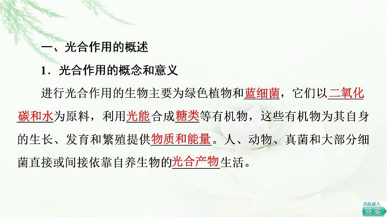 浙科版高中生物必修1第3章第5节第1课时叶绿体与光合色素课件第4页