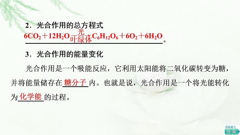 浙科版高中生物必修1第3章第5节第1课时叶绿体与光合色素课件第5页