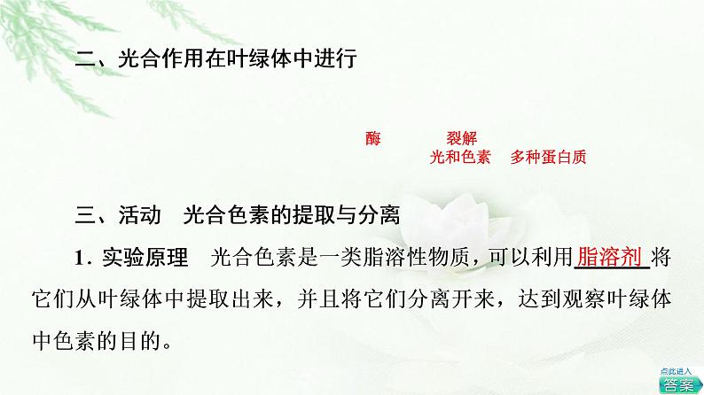 浙科版高中生物必修1第3章第5节第1课时叶绿体与光合色素课件第6页