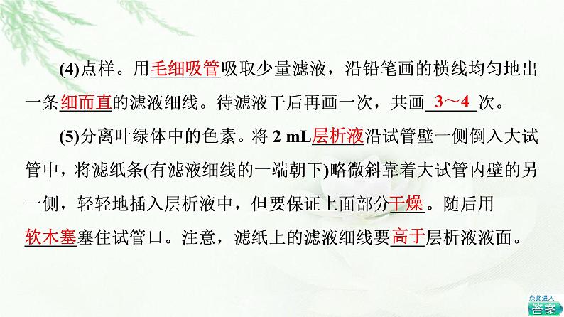 浙科版高中生物必修1第3章第5节第1课时叶绿体与光合色素课件第8页