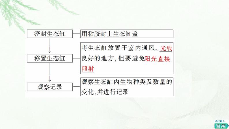 人教版高中生物选择性必修2第3章探究实践设计制作生态缸,观察其稳定性课件06