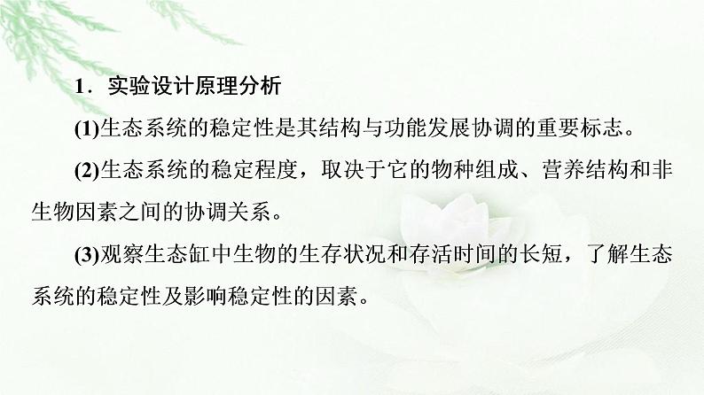 人教版高中生物选择性必修2第3章探究实践设计制作生态缸,观察其稳定性课件08