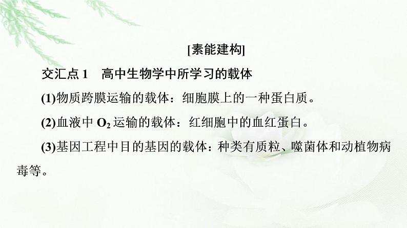 人教版高中生物选择性必修3生物技术与工程第3章素能提升课基因工程与其他模块知识的综合课件03