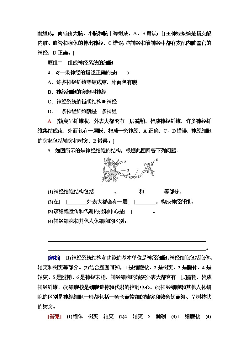 苏教版高中生物选择性必修1稳态与调节课后素养落实1神经调节的结构基础和自主神经含答案 试卷02