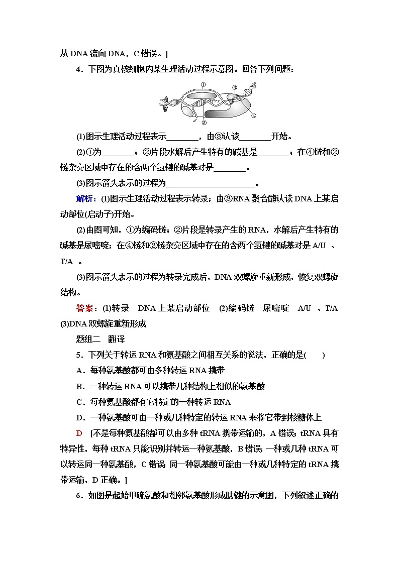 浙科版高中生物必修2遗传与进化课后素养落实9基因的表达——转录和翻译含答案 试卷02