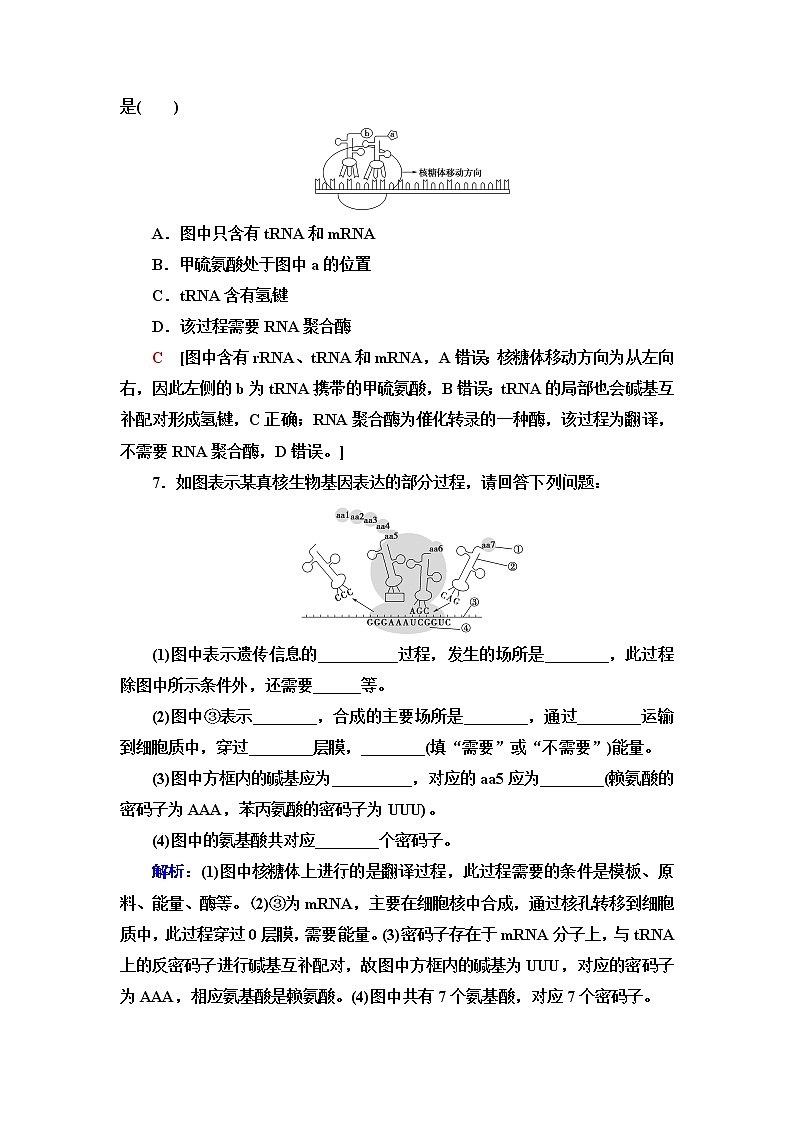 浙科版高中生物必修2遗传与进化课后素养落实9基因的表达——转录和翻译含答案 试卷03