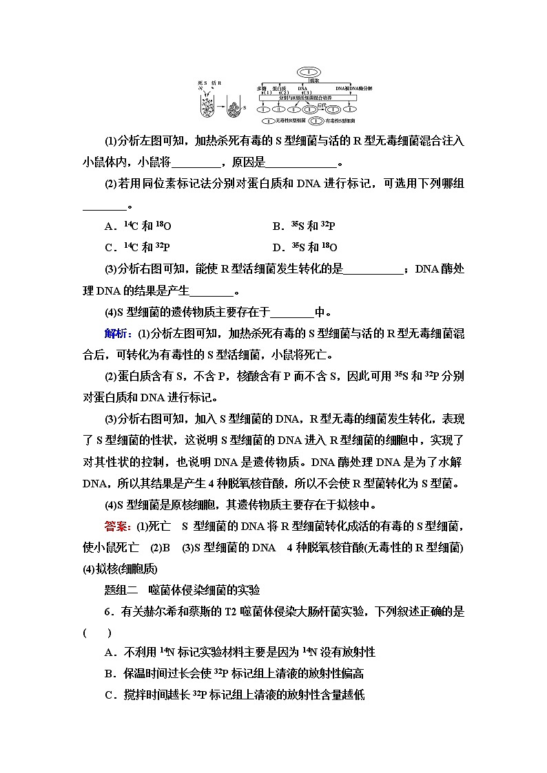 浙科版高中生物必修2遗传与进化课后素养落实6核酸是遗传物质含答案第3页