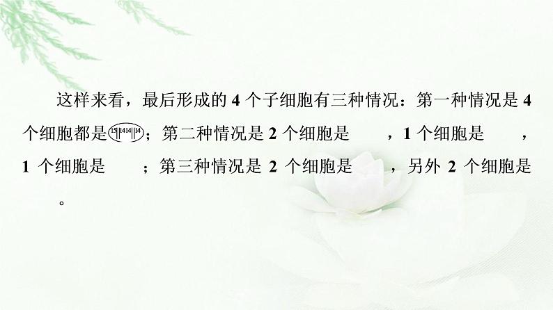 浙科版高中生物必修2遗传与进化第3章素能提升课复制后的DNA在细胞分裂中随染色体的去向分析课件第6页