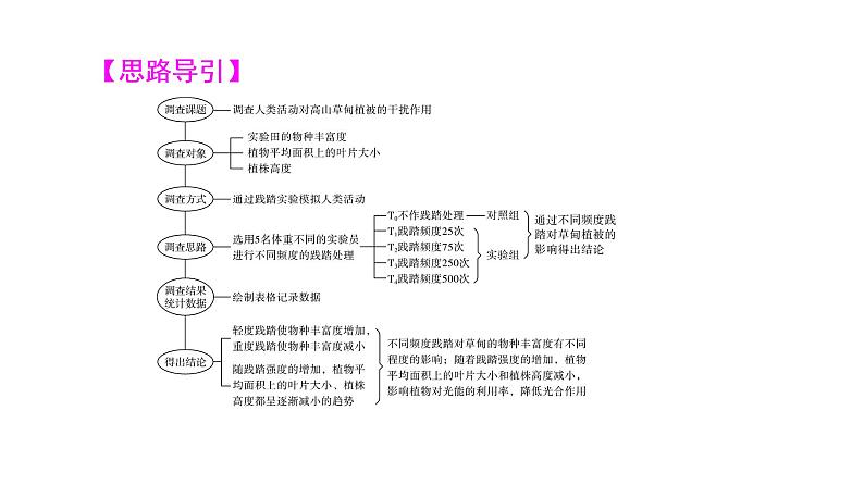 人教版高考生物一轮总复习选择性必修2第9单元实验探究系列8调查类实验方案的设计与实施课件第7页