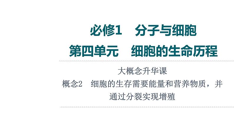 人教版高考生物一轮总复习必修1第4单元大概念升华课(必修概念2)课件01