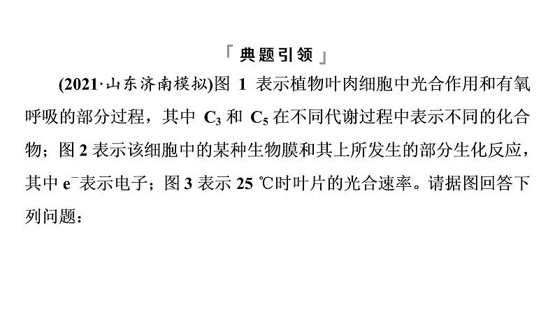 人教版高考生物一轮总复习必修1第3单元高频考点进阶课2光合作用和细胞呼吸的综合应用课件03