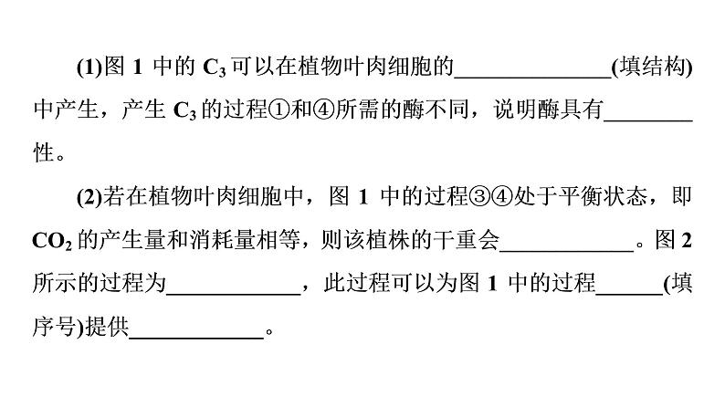 人教版高考生物一轮总复习必修1第3单元高频考点进阶课2光合作用和细胞呼吸的综合应用课件05