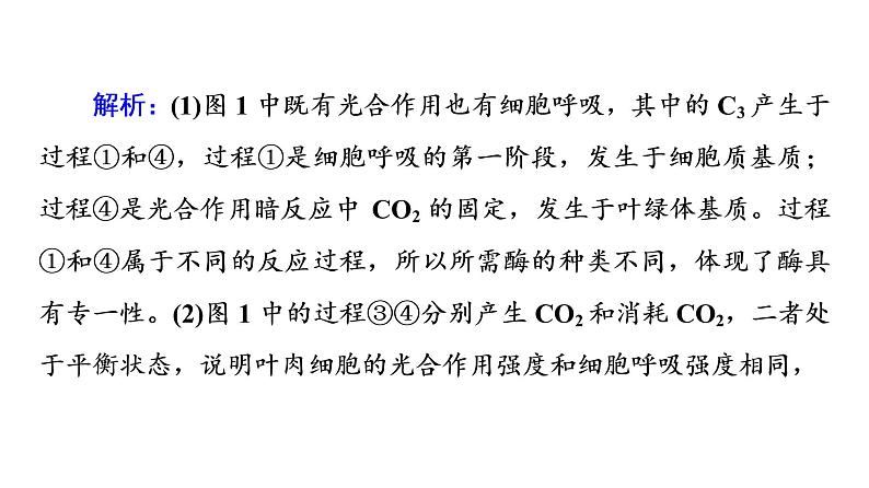 人教版高考生物一轮总复习必修1第3单元高频考点进阶课2光合作用和细胞呼吸的综合应用课件07