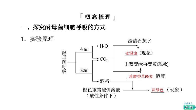 人教版高考生物一轮总复习必修1第3单元第8课细胞呼吸的原理和应用课件第4页