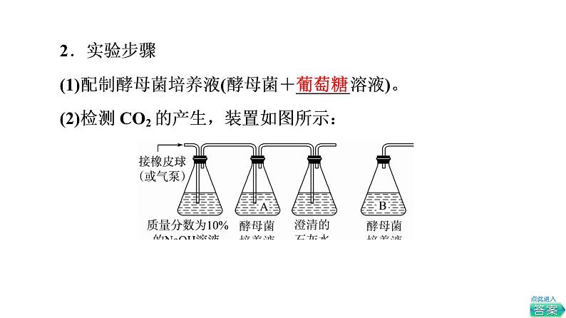 人教版高考生物一轮总复习必修1第3单元第8课细胞呼吸的原理和应用课件第5页
