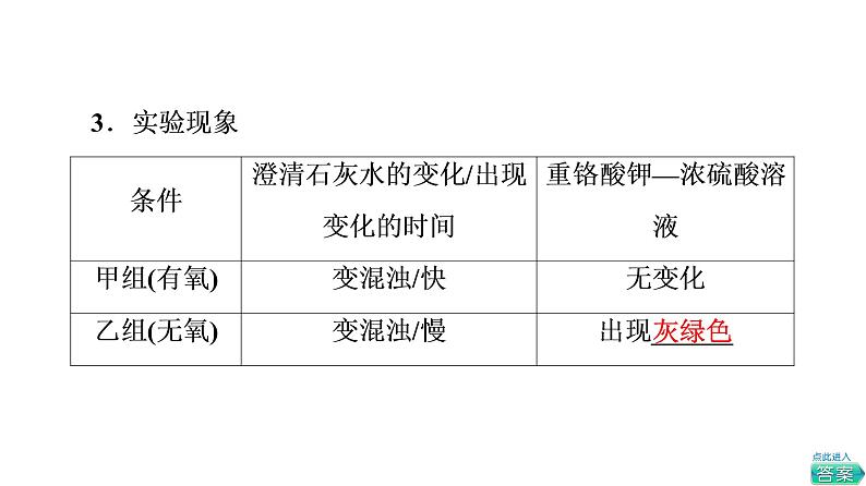 人教版高考生物一轮总复习必修1第3单元第8课细胞呼吸的原理和应用课件第7页