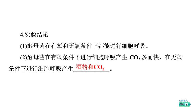 人教版高考生物一轮总复习必修1第3单元第8课细胞呼吸的原理和应用课件第8页