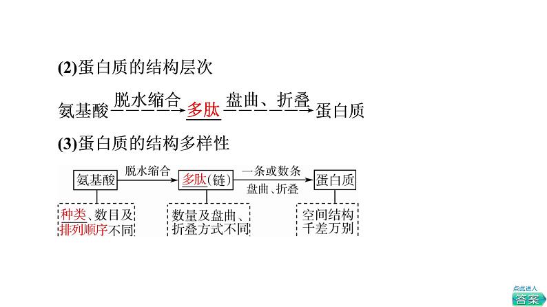 人教版高考生物一轮总复习必修1第1单元第3课蛋白质和核酸课件第8页