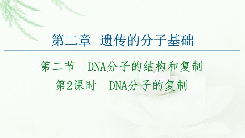 苏教版高中生物必修2第2章第2节第2课时DNA分子的复制课件01