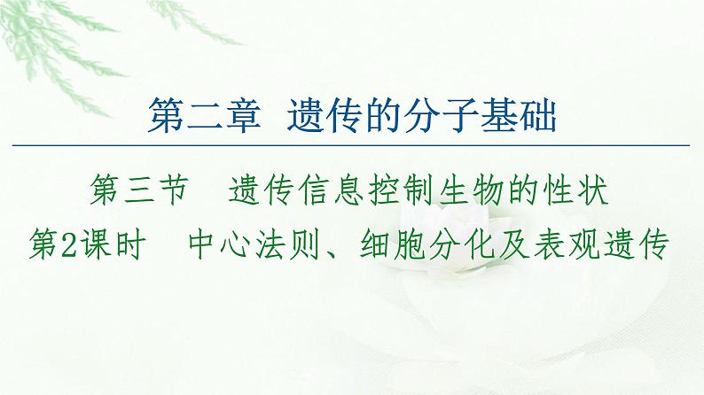 苏教版高中生物必修2第2章第3节第2课时中心法则、细胞分化及表观遗传课件第1页