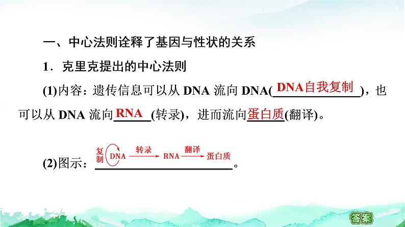 苏教版高中生物必修2第2章第3节第2课时中心法则、细胞分化及表观遗传课件第4页