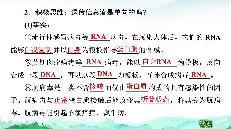 苏教版高中生物必修2第2章第3节第2课时中心法则、细胞分化及表观遗传课件第5页