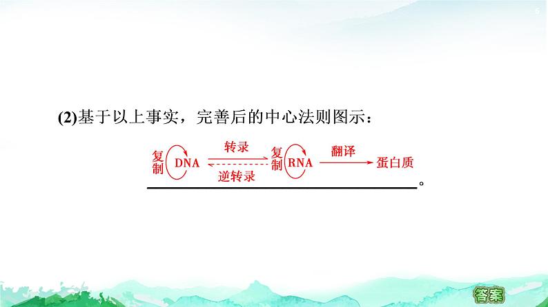 苏教版高中生物必修2第2章第3节第2课时中心法则、细胞分化及表观遗传课件第6页