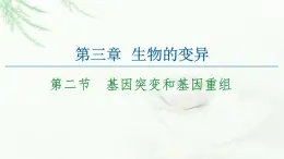 苏教版高中生物必修2第3章第2节基因突变和基因重组课件