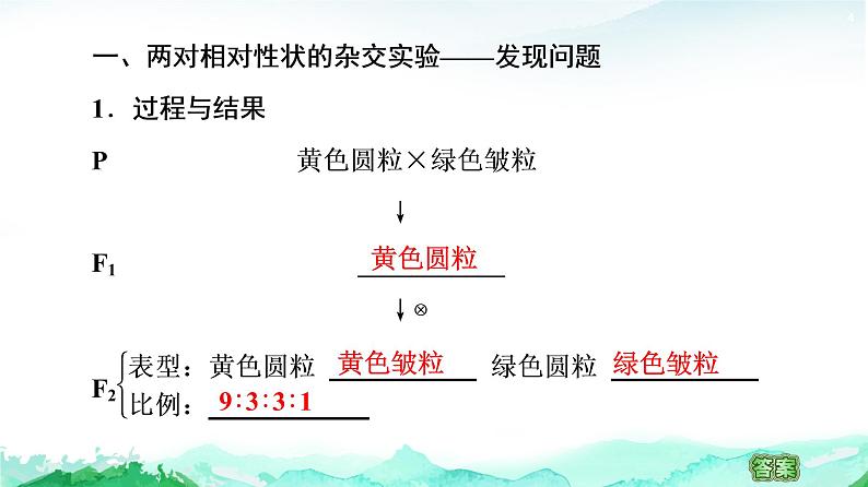 苏教版高中生物必修2第1章第3节第1课时两对相对性状的杂交实验与自由组合现象的解释课件04