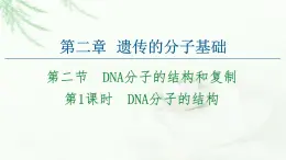 苏教版高中生物必修2第2章第2节第1课时DNA分子的结构课件