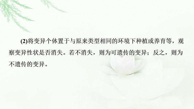 人教版高中生物必修2第5章第2节素能提升课有关变异类型的实验探究课件第3页