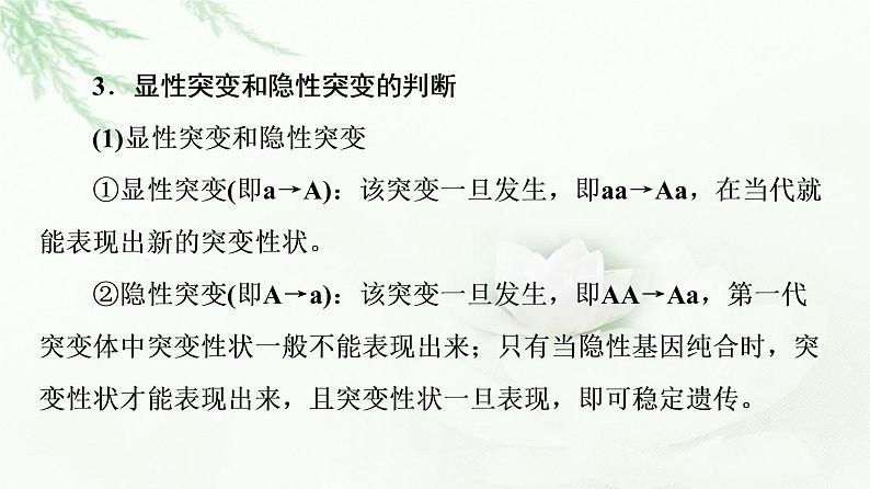 人教版高中生物必修2第5章第2节素能提升课有关变异类型的实验探究课件第5页