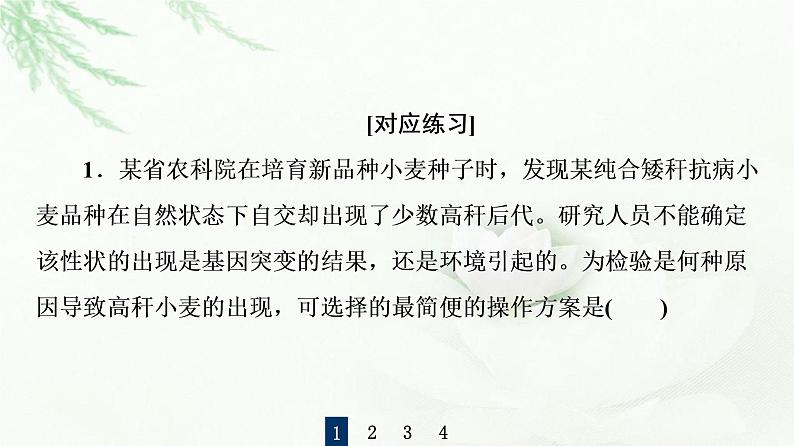 人教版高中生物必修2第5章第2节素能提升课有关变异类型的实验探究课件第8页