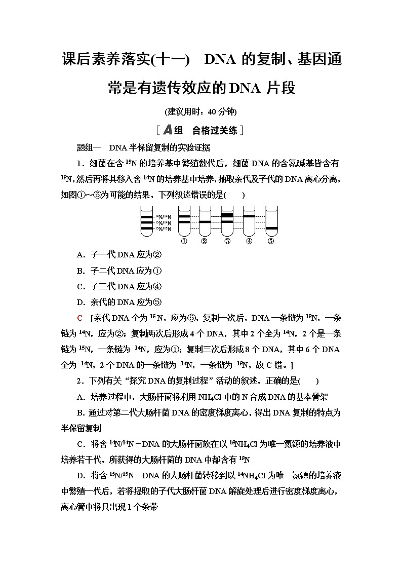 人教版高中生物必修2课后素养落实11DNA的复制、基因通常是有遗传效应的DNA片段含答案 试卷01