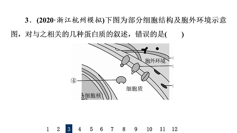 人教版高考生物一轮总复习课时质量评价3蛋白质和核酸课件06