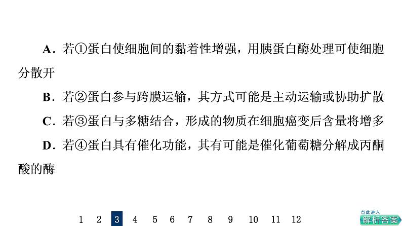 人教版高考生物一轮总复习课时质量评价3蛋白质和核酸课件07
