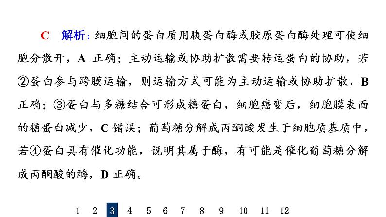 人教版高考生物一轮总复习课时质量评价3蛋白质和核酸课件08