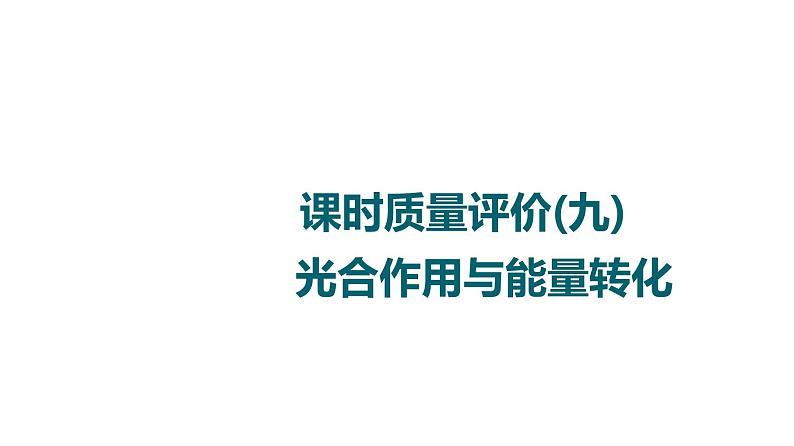 人教版高考生物一轮总复习课时质量评价9光合作用与能量转化课件01