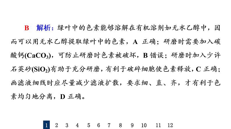 人教版高考生物一轮总复习课时质量评价9光合作用与能量转化课件03