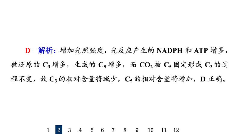 人教版高考生物一轮总复习课时质量评价9光合作用与能量转化课件05