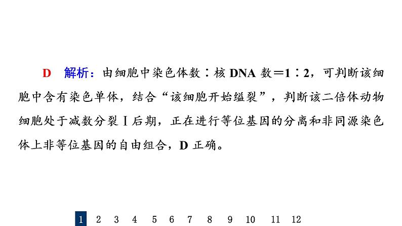 人教版高考生物一轮总复习课时质量评价11减数分裂和受精作用课件第3页
