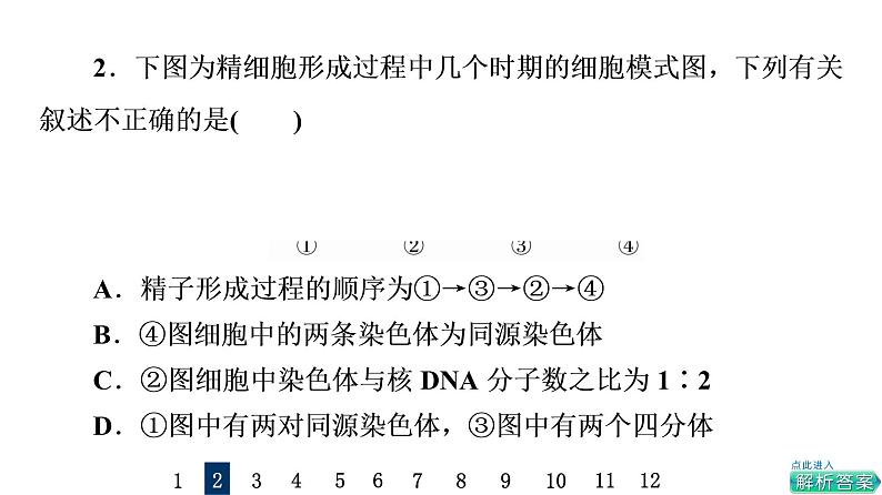 人教版高考生物一轮总复习课时质量评价11减数分裂和受精作用课件第4页