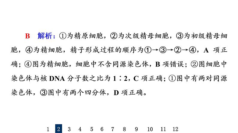 人教版高考生物一轮总复习课时质量评价11减数分裂和受精作用课件第5页