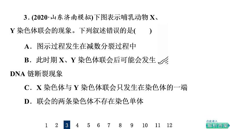 人教版高考生物一轮总复习课时质量评价11减数分裂和受精作用课件第6页