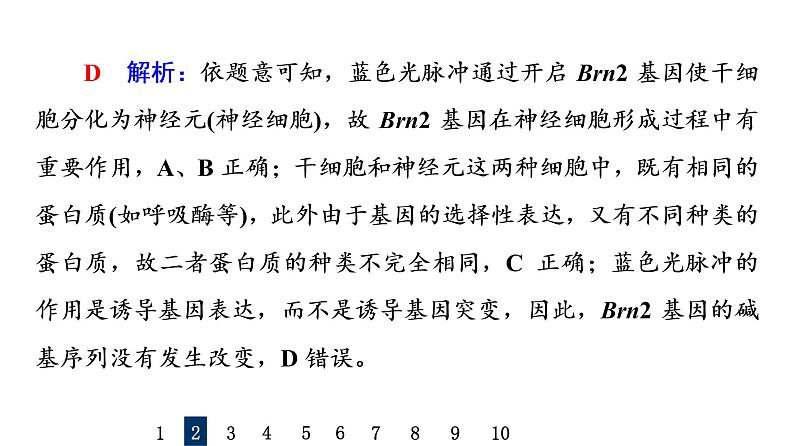 人教版高考生物一轮总复习课时质量评价12细胞的分化、衰老和死亡课件第4页